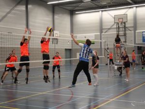 UA151128volleybaltoernooi33.JPG